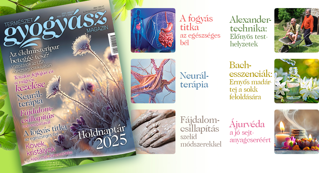 Természetgyógyász Magazin januári száma