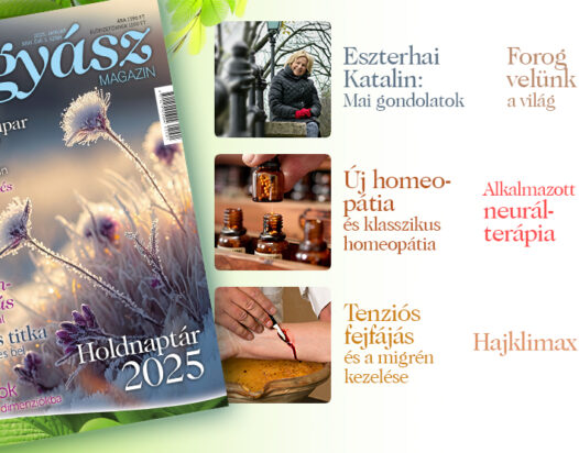 Természetgyógyász Magazin januári száma