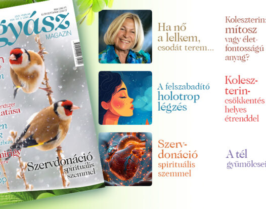 Természetgyógyász Magazin februári tartalom