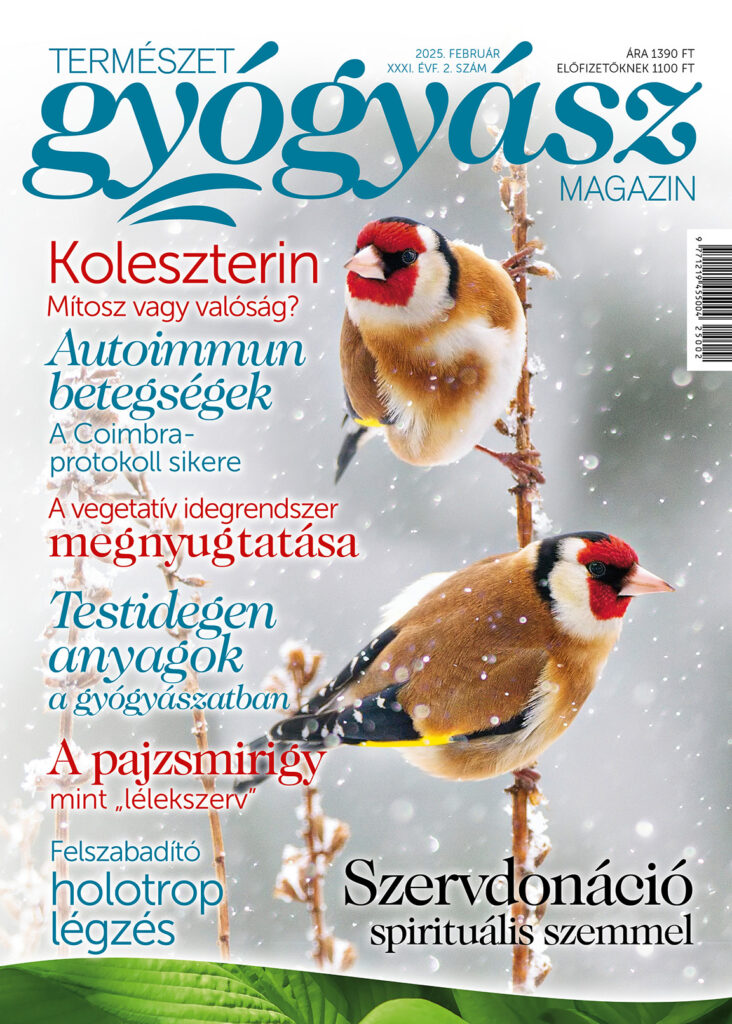 Természetgyógyász Magazin februári száma