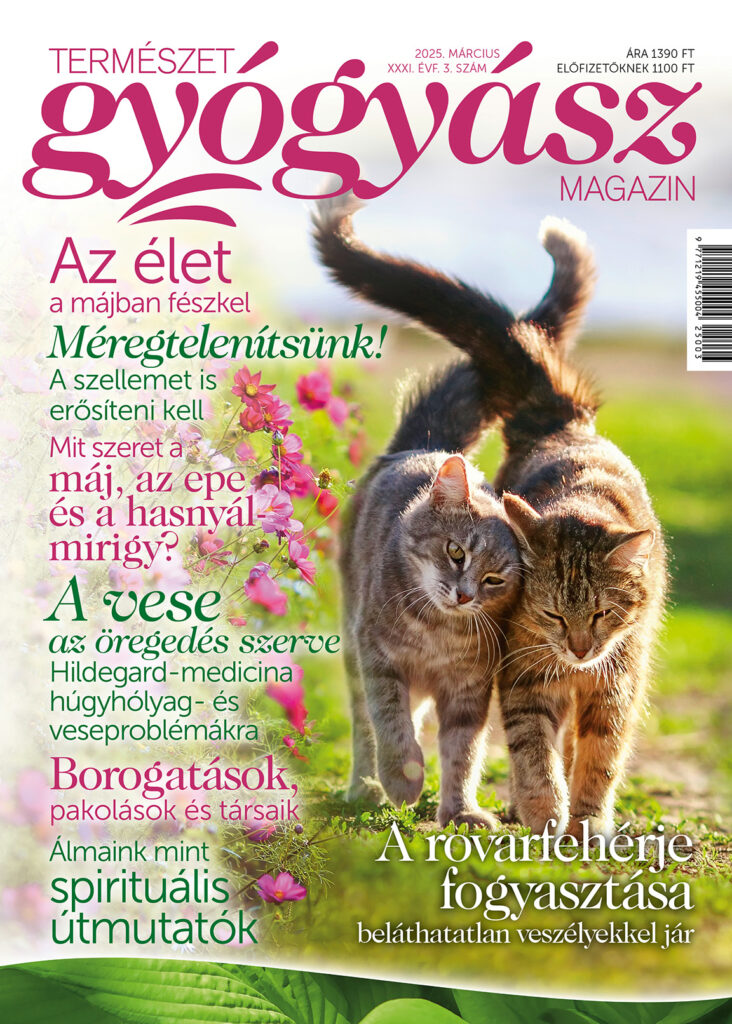 Természetgyógyász Magazin márciusi címlap