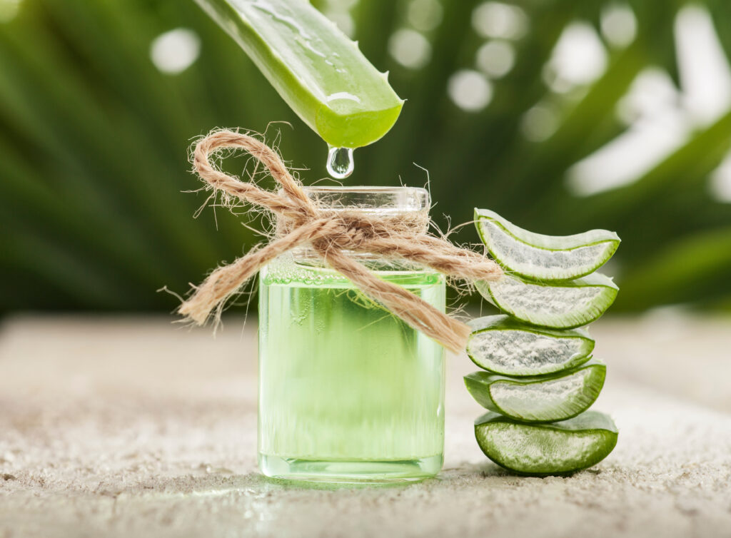 Aloe vera növény és a belőle készült gél üvegben.