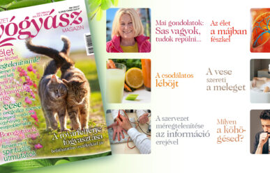 Még több érdekes cikk a magazin márciusi tartalmából