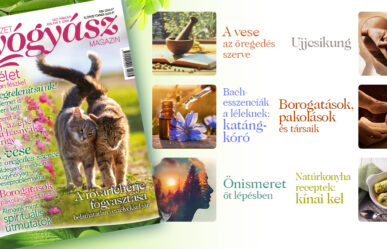 Már csak pár napig kapható a magazin márciusi száma!
