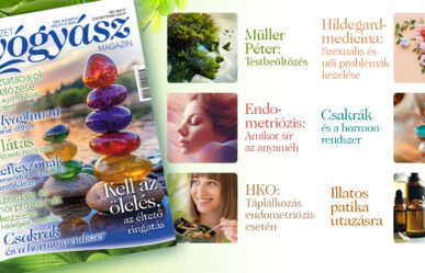 További érdekes cikkek a magazin augusztusi tartalmából