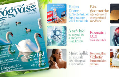 További érdekes cikkek a magazin szeptemberi tartalmából