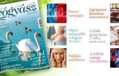 Még több érdekes cikk a magazin szeptemberi számából!