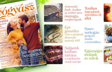 Megjelent a magazin októberi száma! Ízelítő a tartalomból