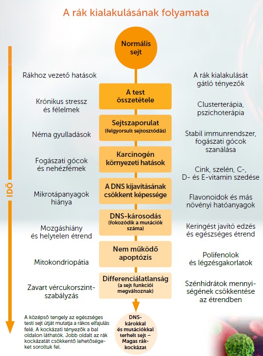 Rákmegelőzés Cluster- medicinával.