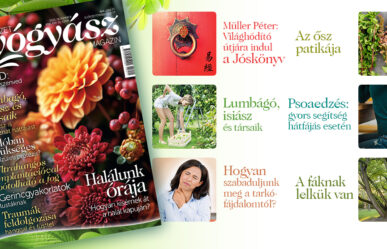 További érdekes cikkek a magazin novemberi tartalmából