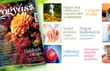 Még több érdekes cikk a magazin novemberi számának tartalmából!