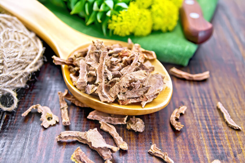 Rózsagyökér (Rhodiola rosea)