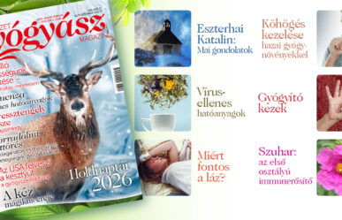 További érdekes cikkek a magazin január- februári számának tartalmából