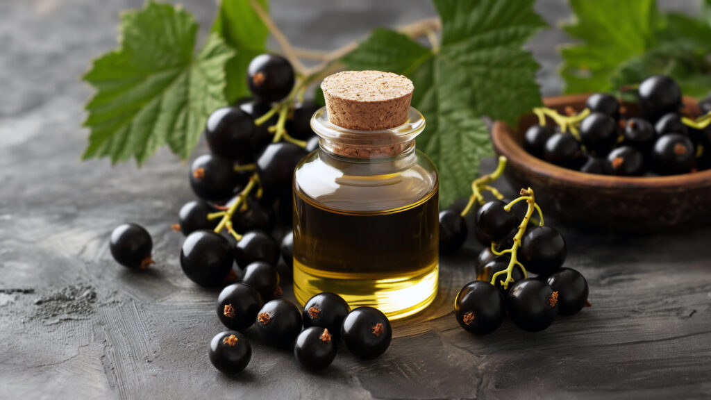 Gemmoterápia, fekete ribizli (Ribes nigrum) rügy és bogyó egy üvegcsével.