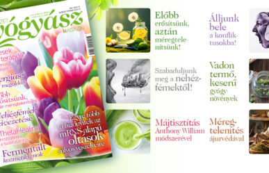 További érdekes cikkek a magazin március-áprilisi számának tartalmából