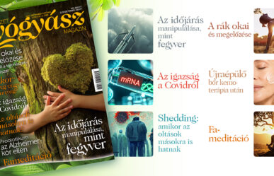 Megjelent a magazin szeptember-októberi száma! Ízelítő a tartalomból
