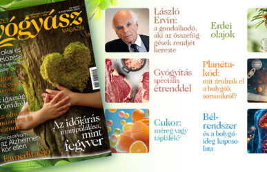 További érdekes cikkek a magazin szeptember-októberi számának tartalmából