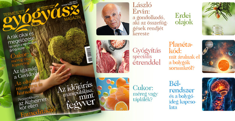További érdekes cikkek a magazin szeptember-októberi számának tartalmából